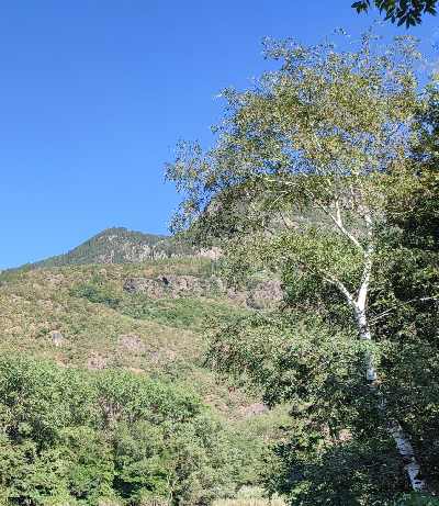 Mountain with vegetation