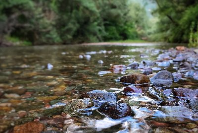 Rocks in the river