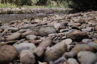 Rocks on the river banks